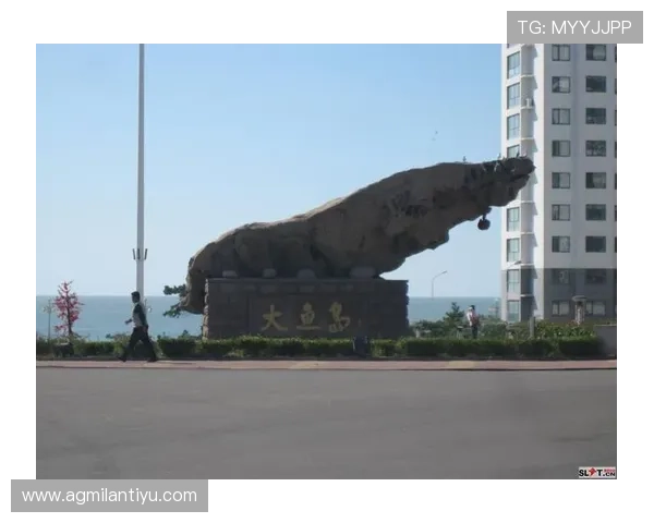 半岛体育官网首页详细的用户指南与常见问题解答提升你的使用体验